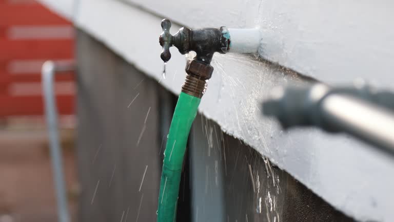 Best Property Management Cleanouts  in Las Lomas, TX